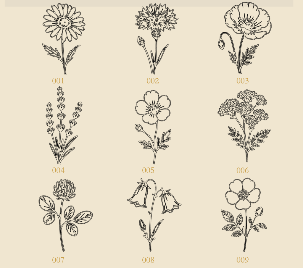 Wiesenblumen
